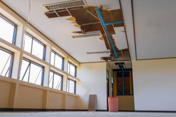 Best Water damage contractors near me  in Fairlea, WV