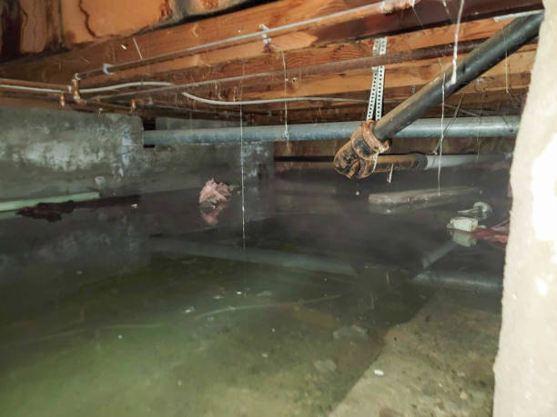 Reliable Fairlea, WV Water damage restoration Solutions