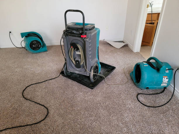 Best Ceiling water damage repair  in Fairlea, WV