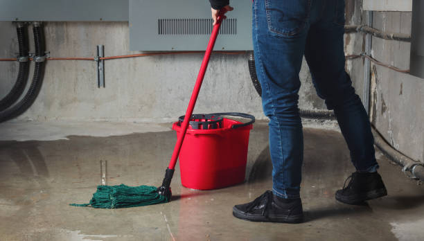  Fairlea, WV Water damage restoration Pros