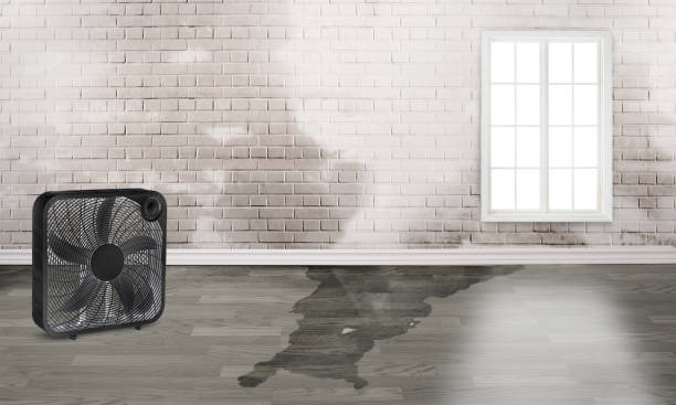 Best Sewage cleanup and water damage restoration  in Fairlea, WV