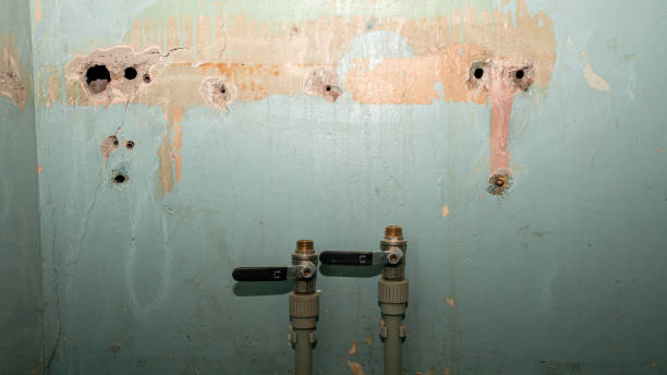 Best Water damage restoration near me  in Fairlea, WV
