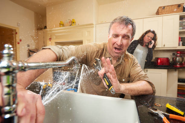 Best Carpet water damage restoration  in Fairlea, WV